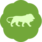 Made in India